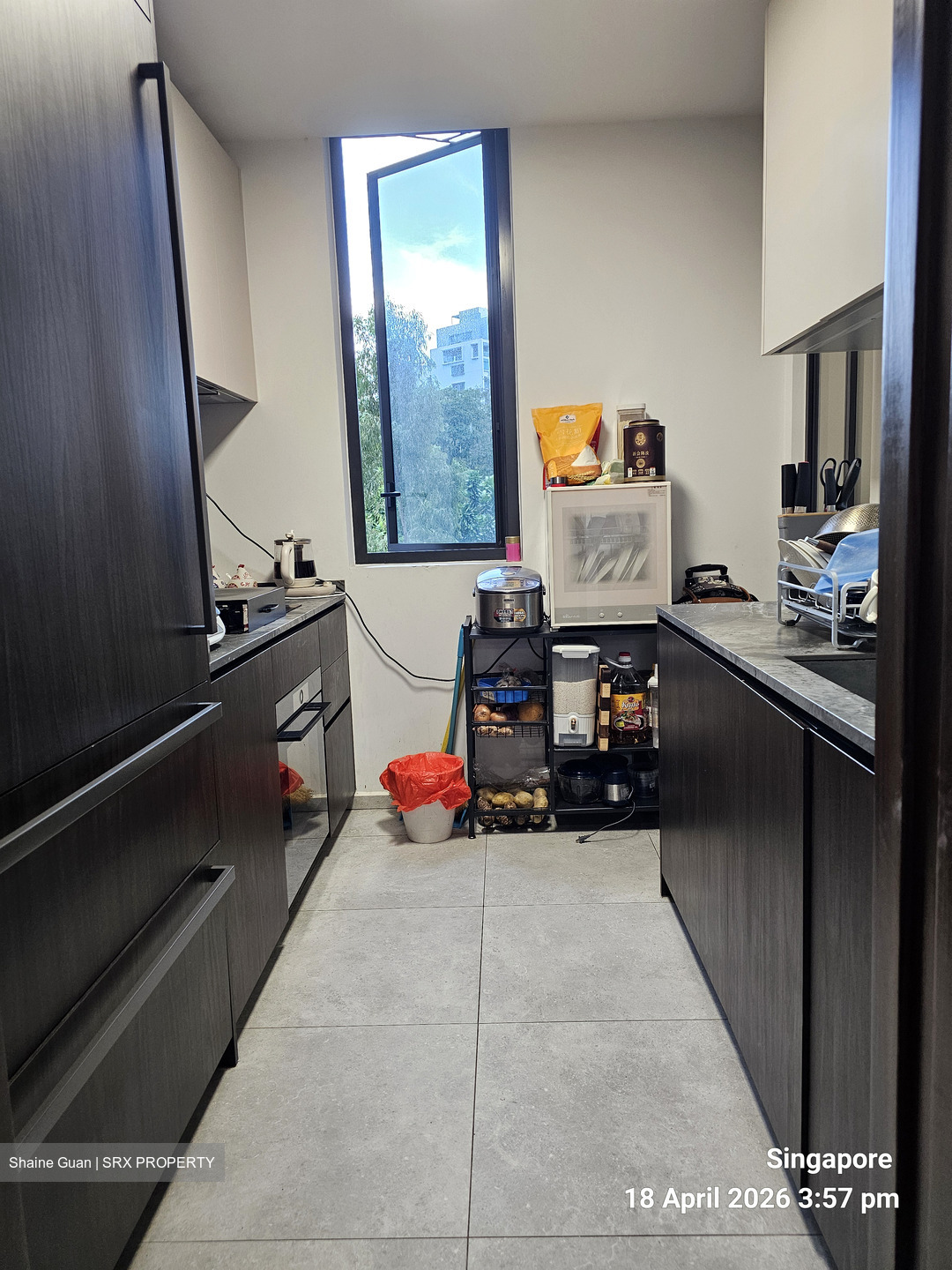 Leedon Green (D10), Condominium #548361791